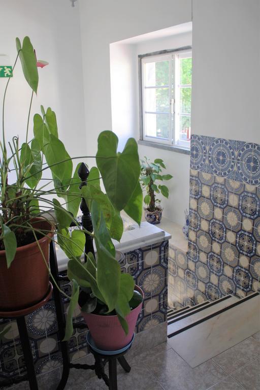 Cosy Lisboa